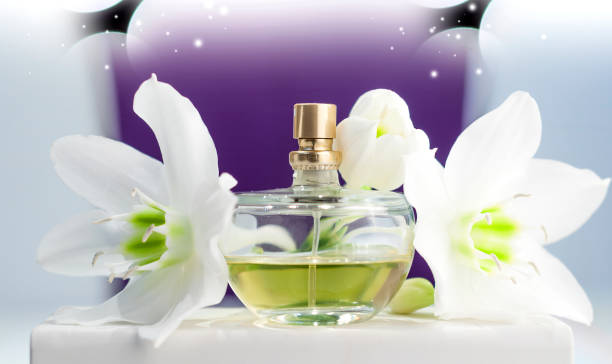 istock bottle of perfume, white daffodil on purple background 861578648