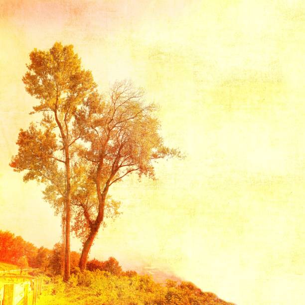 istock Vintage single tree in red and yellow tones with copy space. 861588230