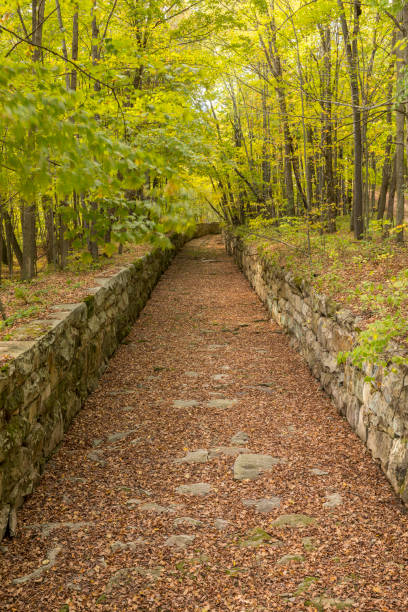 istock Flume In The Woods 861588374