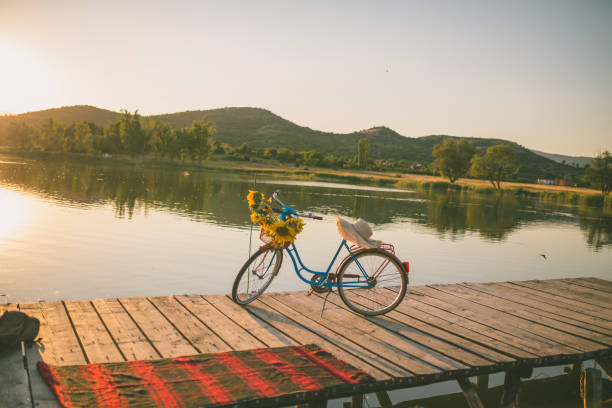 istock Beautiful sunflowers on a bicycle's basket 861591702