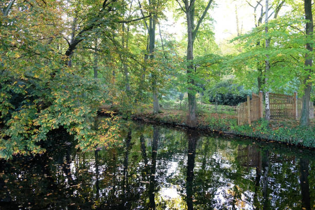 istock Autumn in the netherlands 861592434