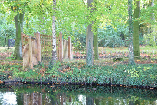 istock Autumn in the netherlands 861598218