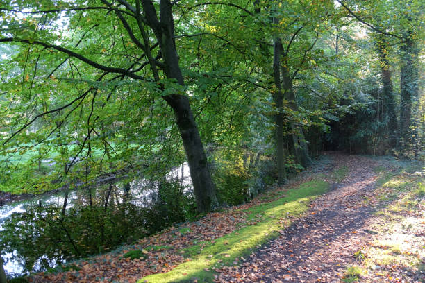 istock Autumn in the netherlands 861599820