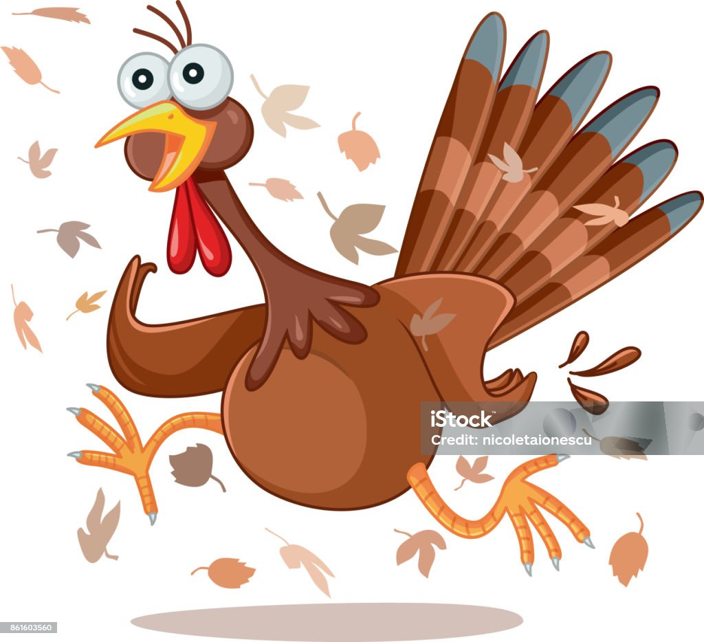 Funny Turkey Running Vector Cartoon Stock Illustration - Download Image Now  - Turkey - Bird, Running, Emotional Stress - iStock