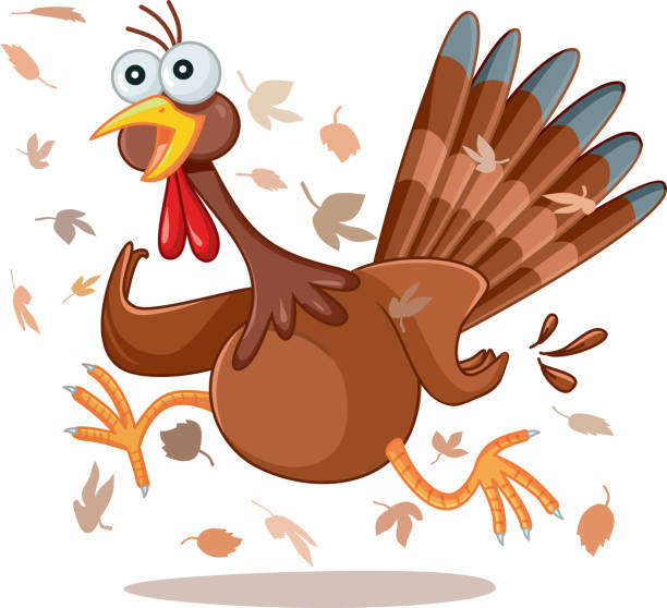 Funny Turkey Running Vector Cartoon Stock Illustration - Download Image Now  - Turkey - Bird, Running, Emotional Stress - iStock