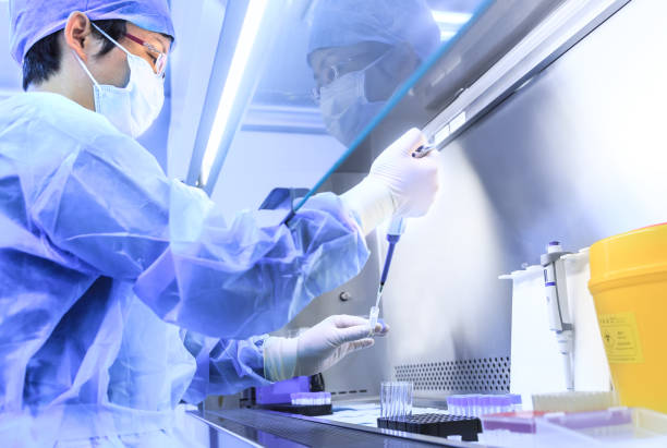 istock The scientist experimented in the laboratory 861606270