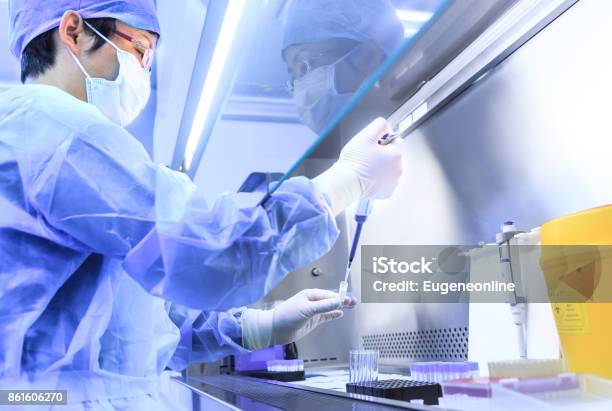 The Scientist Experimented In The Laboratory Stock Photo - Download Image Now - Stem Cell, Laboratory, Research