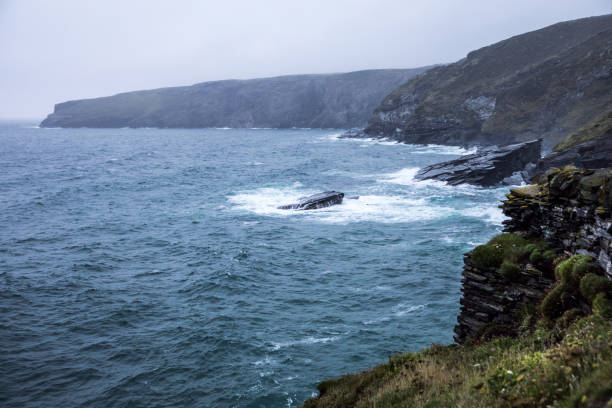 Adventures exploring the wild nature in UK - Cornwall