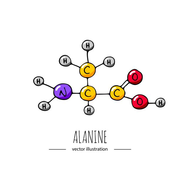 83 Amino Acid Cartoon Illustrations & Clip Art - iStock 83 Amino Acid Cartoon Illustrations & Clip Art - iStock