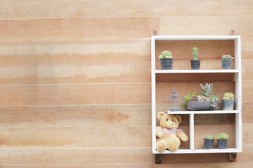 Hanging wooden wall hangers Decorated by placing cactus and brown Teddy Bear on a rack. The floor is made of wood. copy space.