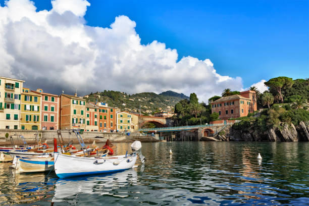 istock Small port of Nervi 861613354