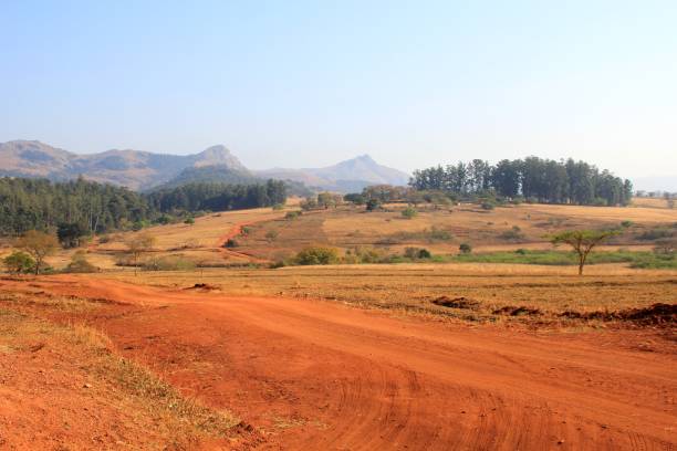 istock Landscape of Swaziland 861614988