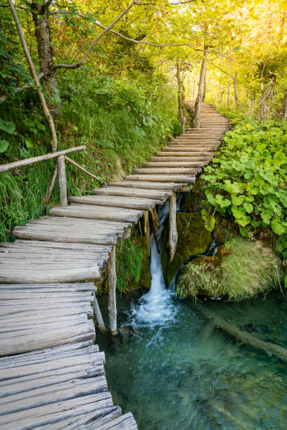 istock Plitvice Lakes National Park 861629060