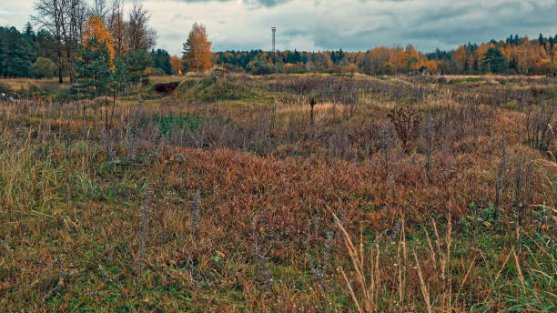 istock Moody autumn landscape 861629200