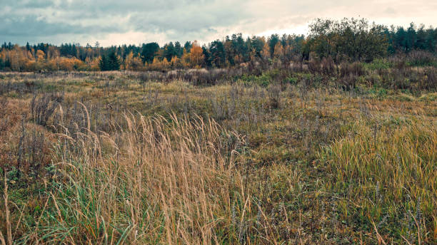 istock Moody autumn landscape 861629272
