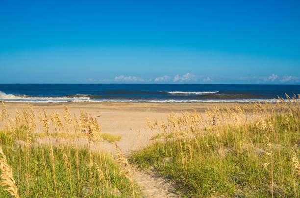A stunning sunrise paints the sky in vibrant golden, orange, and amber hues above a churning ocean. Gentle waves break onto the sandy shore, creating white foam. A warm, peaceful nature scene perfect for backgrounds.