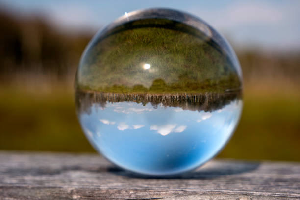 istock Swamp Landscape in a Glass Ball 861638064