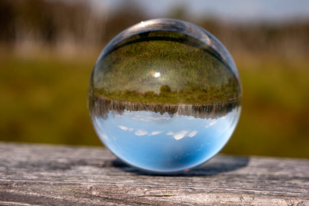istock Swamp Landscape in a Glass Ball 861638068