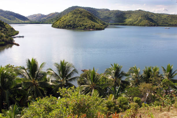 istock Philippine Islands, overgrown with forest 861645500