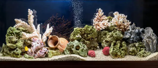 Freshwater aquarium with cichlids in style - pseudo-sea