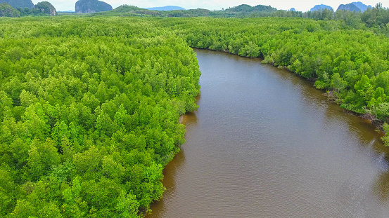 Aerial view of mangrove forest and sea at trang province, Thailand ,