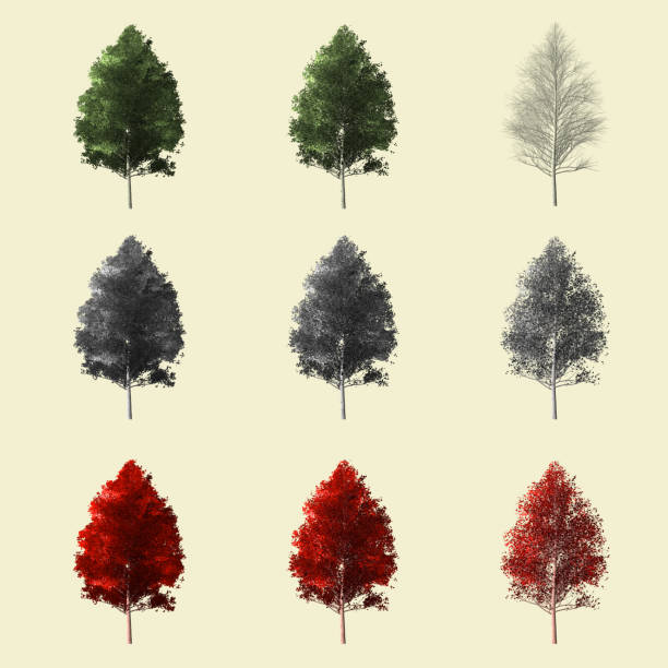 istock Aspen tree season change set,summer winter autumn 3d rendering isolated for landscape designer. 861655440