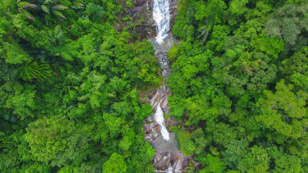 istock Aerial shot tropical forest and  Waterfall  south Thailand 861655686