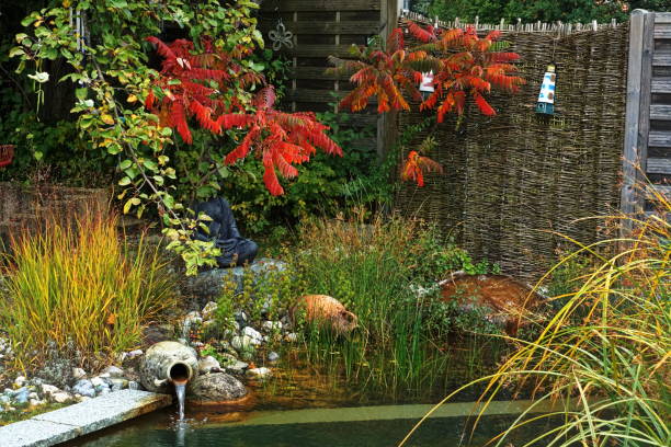 Early Autumnat our pond. Meditating sitting Buddha under the tree.
