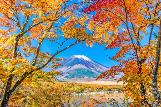 富士山日本 - fuji mt fuji yamanashi prefecture japanese fall foliage ストックフォトと画像