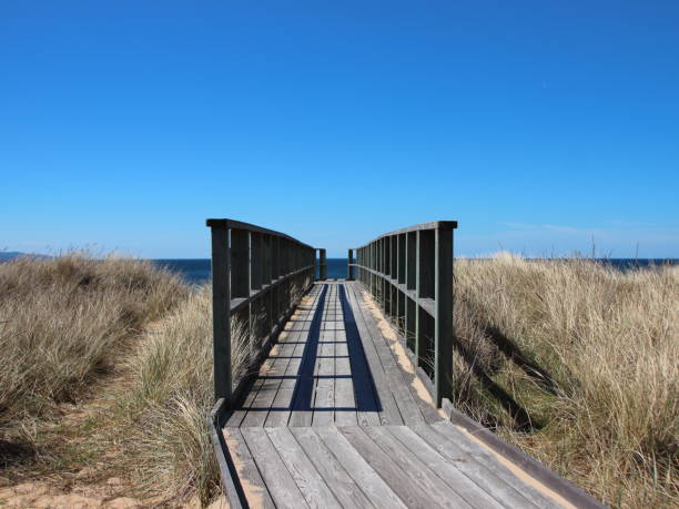 istock Wooden Path to the Beach with Sand Dunes 861661974