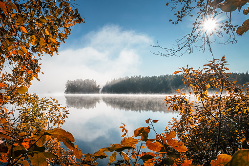 Scenic view with fall colors and peaceful lake at autumn morning in Liesjärvi National Park, Finland