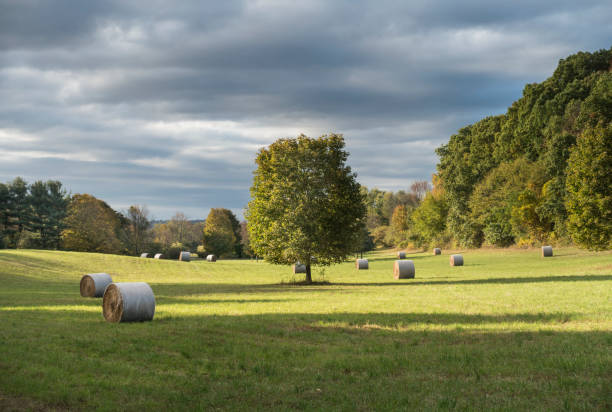 istock Hay Bales in a Hudson Valley Field with Stormy Sky 861662222