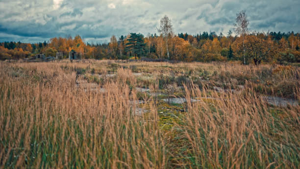 istock Moody autumn landscape 861662492