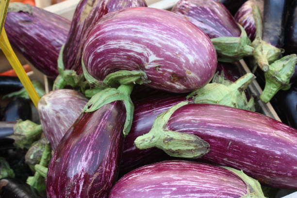 marché provençal - italian eggplant photos et images de collection