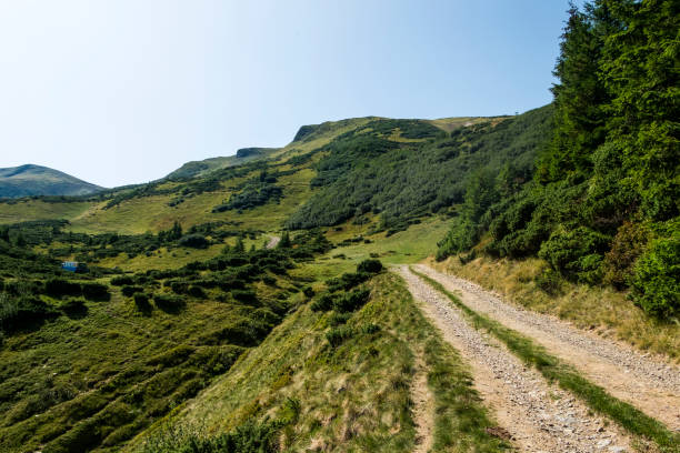 mountain path leading to gendarme and bliznitsa mountains (ukraine, carpathians, dragobrat) - dragobrat imagens e fotografias de stock