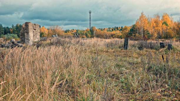Empty meadow near mixed forest in moody rainy autumn day. Cloudy sky. Wide view