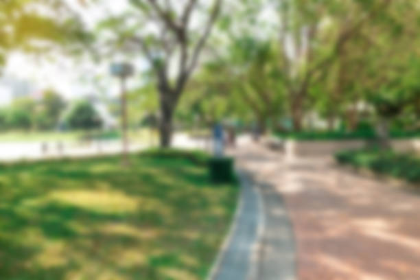 istock Blur background outdoor recreation public park 861678614