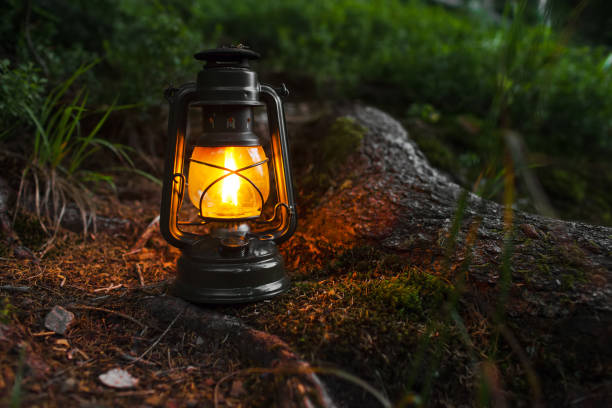 istock Gas lantern in the forest 861678790