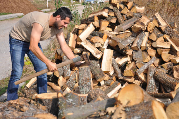 istock Lumberjack chopping wood for winter 861680872