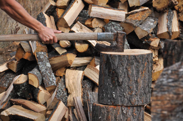 istock Lumberjack chopping wood for winter 861681340