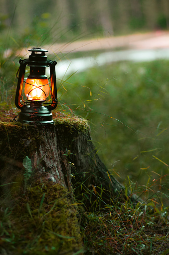 Gas lantern in the forest  at the evening