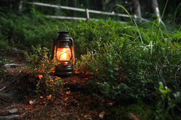 istock Gas lantern in the forest 861681670