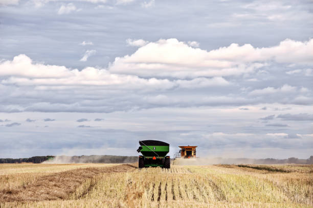 istock Agriculture equipment in a harvesting field 861688436