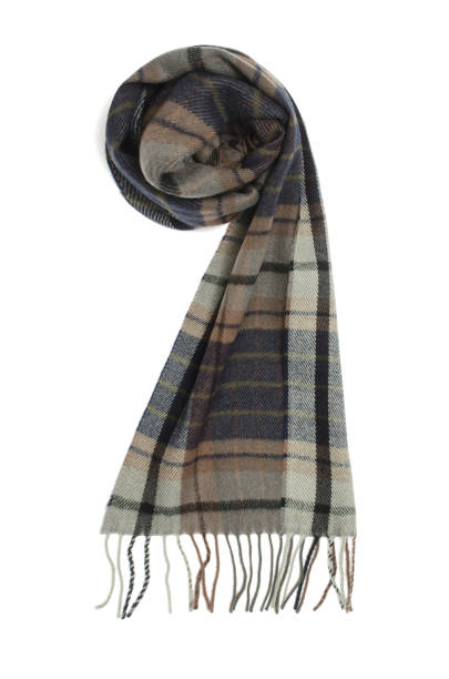 istock men's plaid scarf isolated on white 861692348