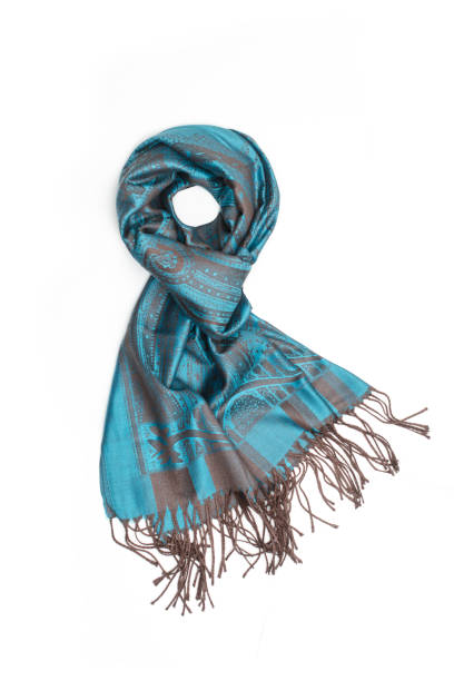 istock women's blue scarf with black pattern isolated on white 861692526
