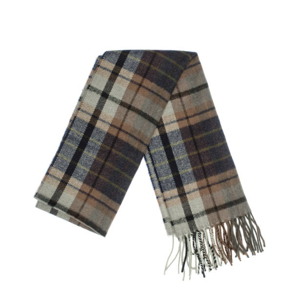 istock men's plaid scarf isolated on white 861692566
