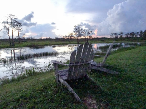 istock Reflection of vibrant sunset in a swamp 861695782