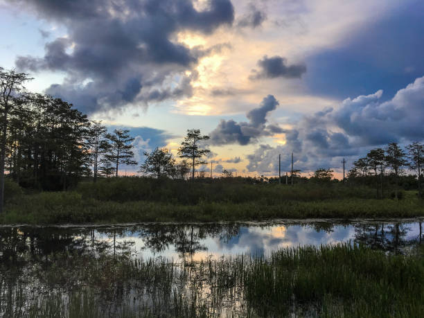 istock Reflection of vibrant sunset in a swamp 861698476
