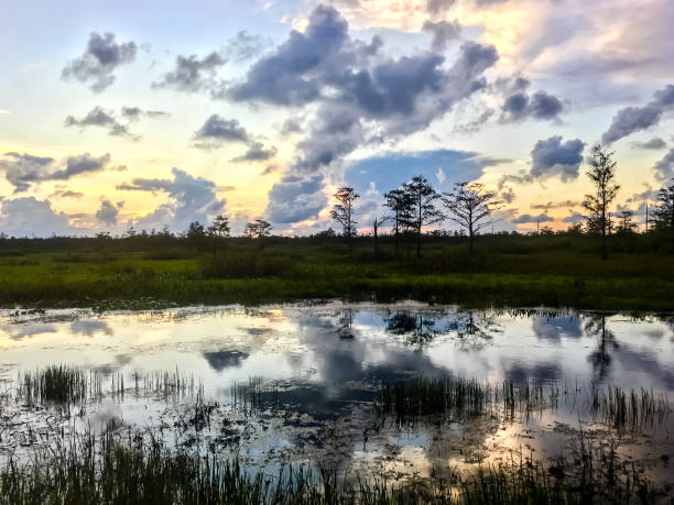 istock Reflection of vibrant sunset in a swamp 861698520