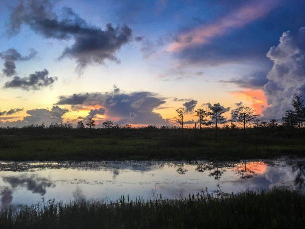istock Reflection of vibrant sunset in a swamp 861698602